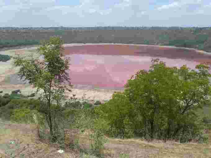 由于'HaloArchaea'微生物，Lonar湖变成了粉红色：探测